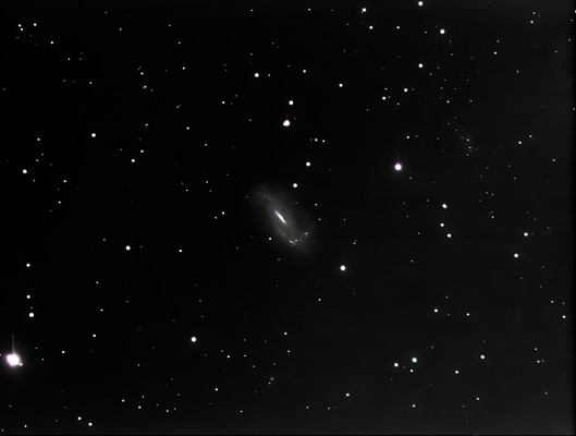 NGC 3319 DAV