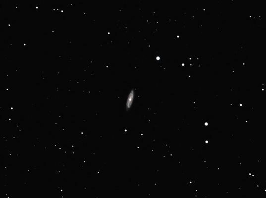 NGC 4100 DAV