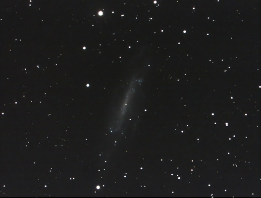 NGC 4236 DAV