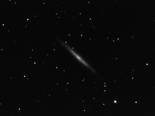 NGC 4244 DAV