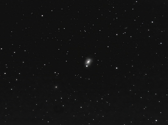 NGC 4981 DAV