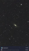 NGC3115 (C53) and PGC29300