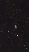 M88 with NGC4516 plus 4 IC galaxies