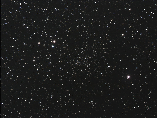 NGC 2236 DAV