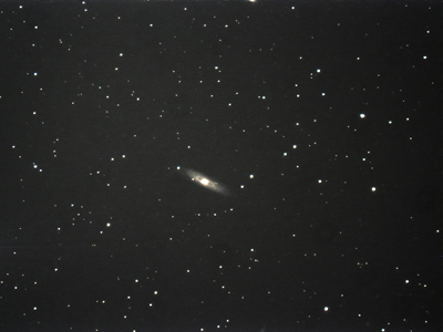 NGC 7184 DAV