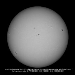 Sun Whole Disk 8-04-2023