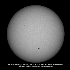 Sun Whole Disk 8-09-2023