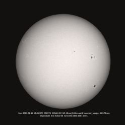 Sun Whole Disk 8-12-2023