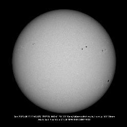 Sun Whole Disk 8-13-2023